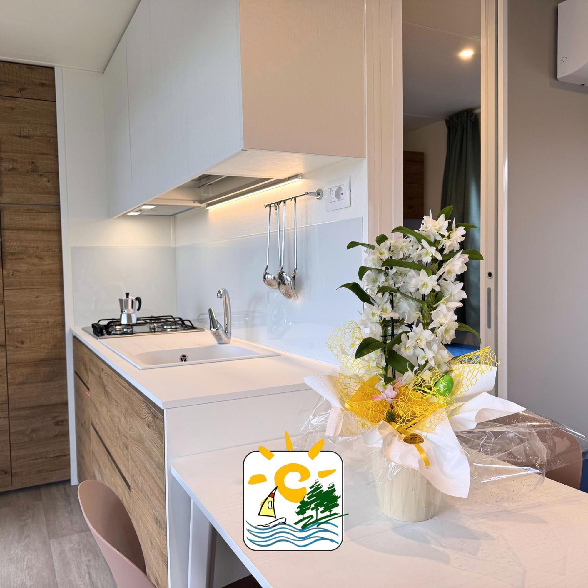 Camping Bocca Di Cecina *