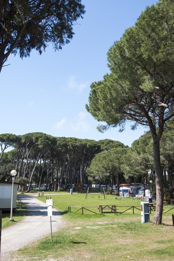 Camping Bocca Di Cecina Marina di Cecina
