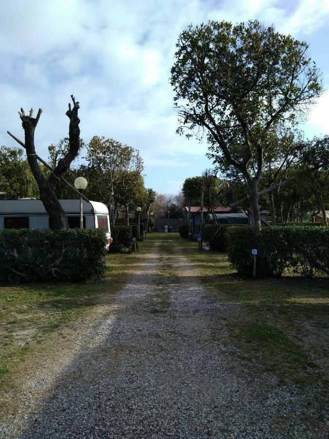 Bocca Di Cecina