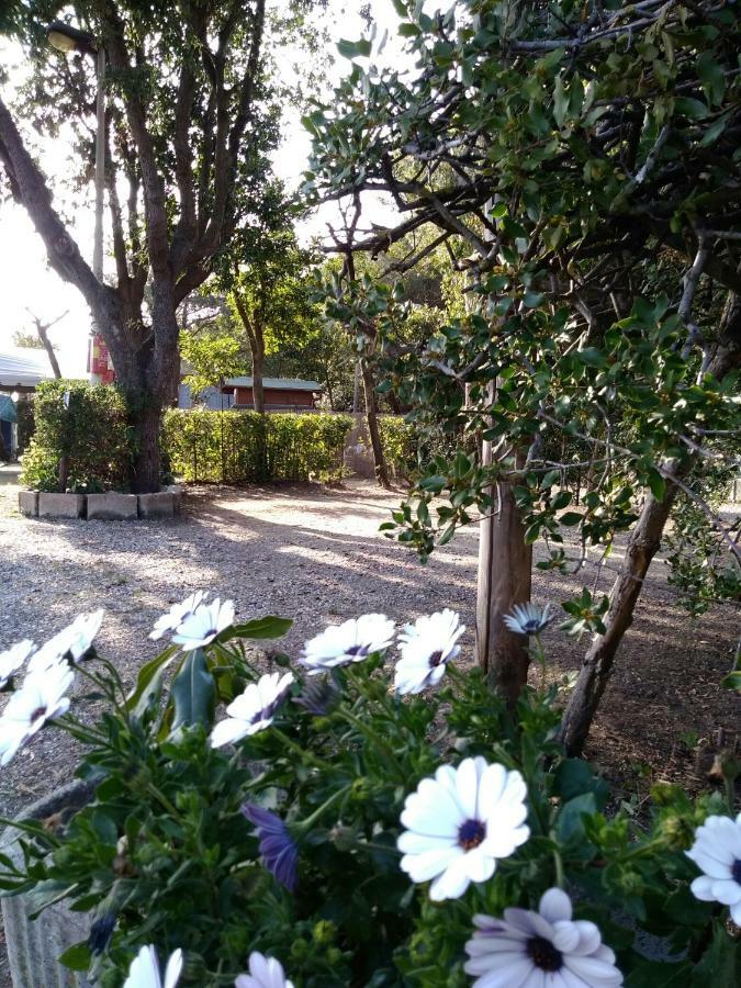 Bocca Di Cecina Camping Marina di Cecina